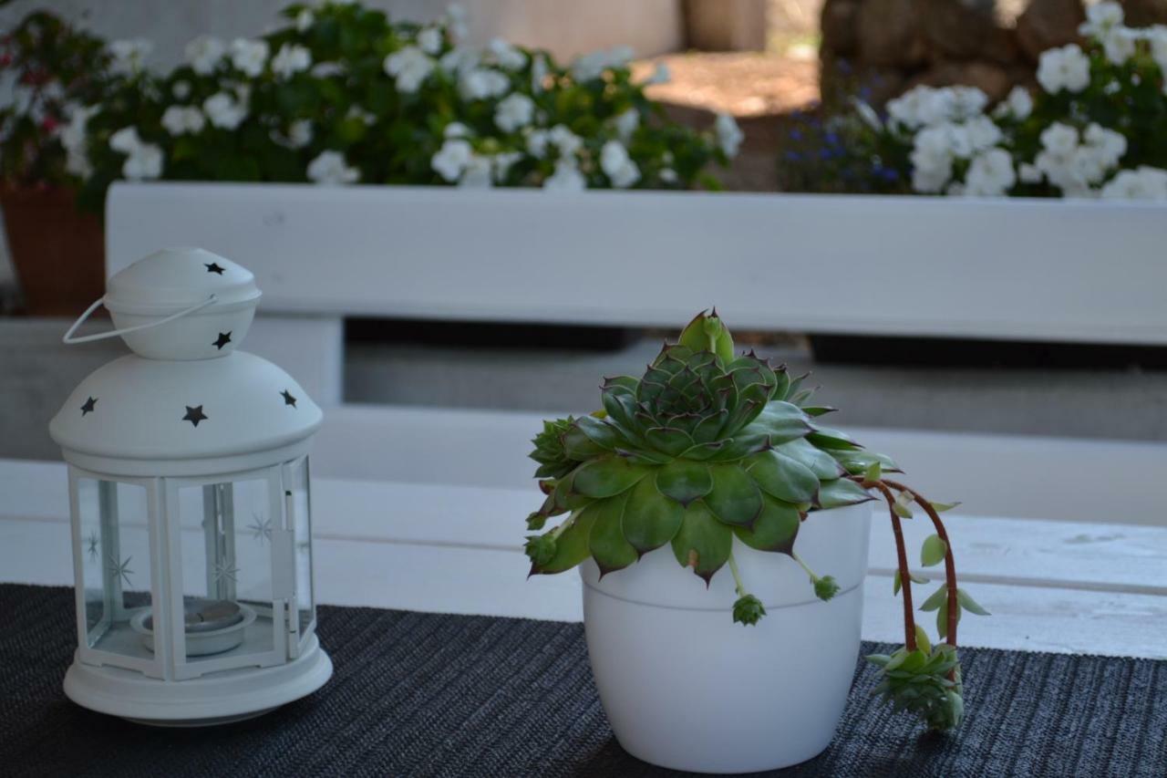 Apartman Kamenar غييكا المظهر الخارجي الصورة